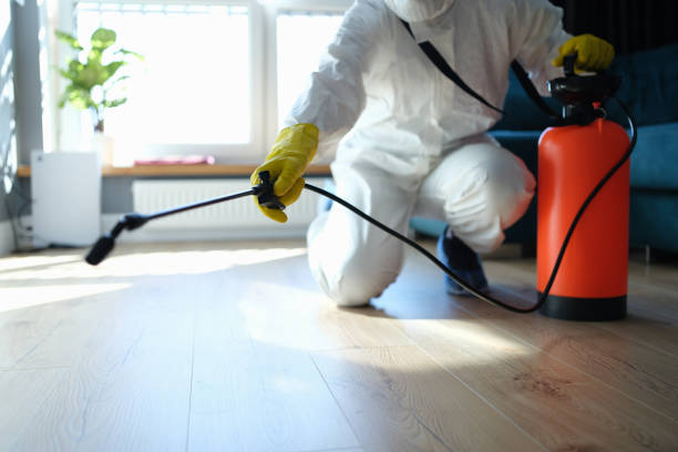 Reliable Sewage Cleanup contractor in Amherst, NE by Trauma Clean Pros